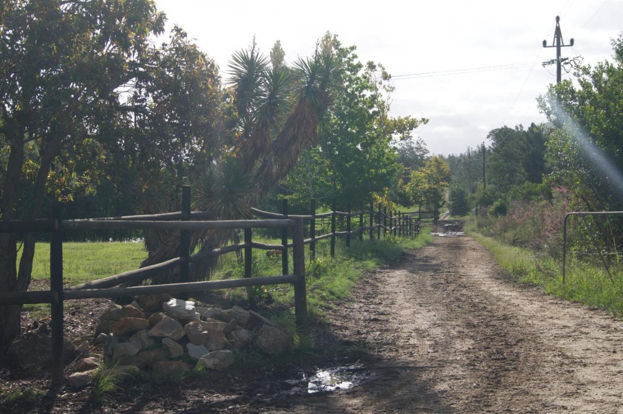 Buffelsdam Country House Kurland ภายนอก รูปภาพ